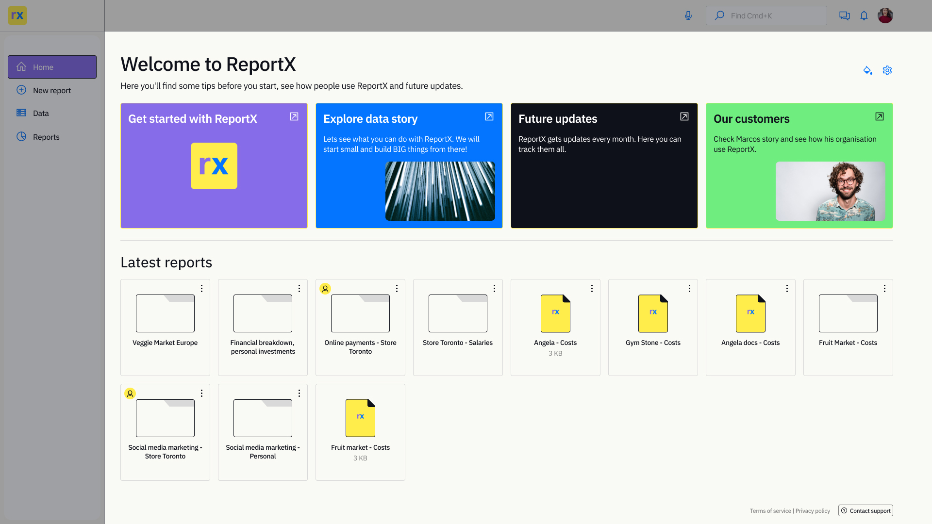 ReportX - Work area
